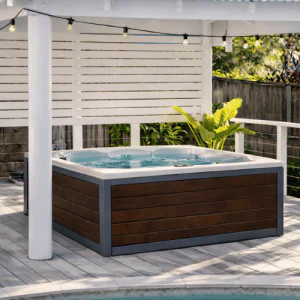 Jacuzzi Hot Tub Spa